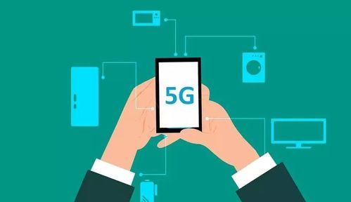 三彩家科技 借力信息技術(shù)咨詢，賦能生活服務(wù)行業(yè)降本增效